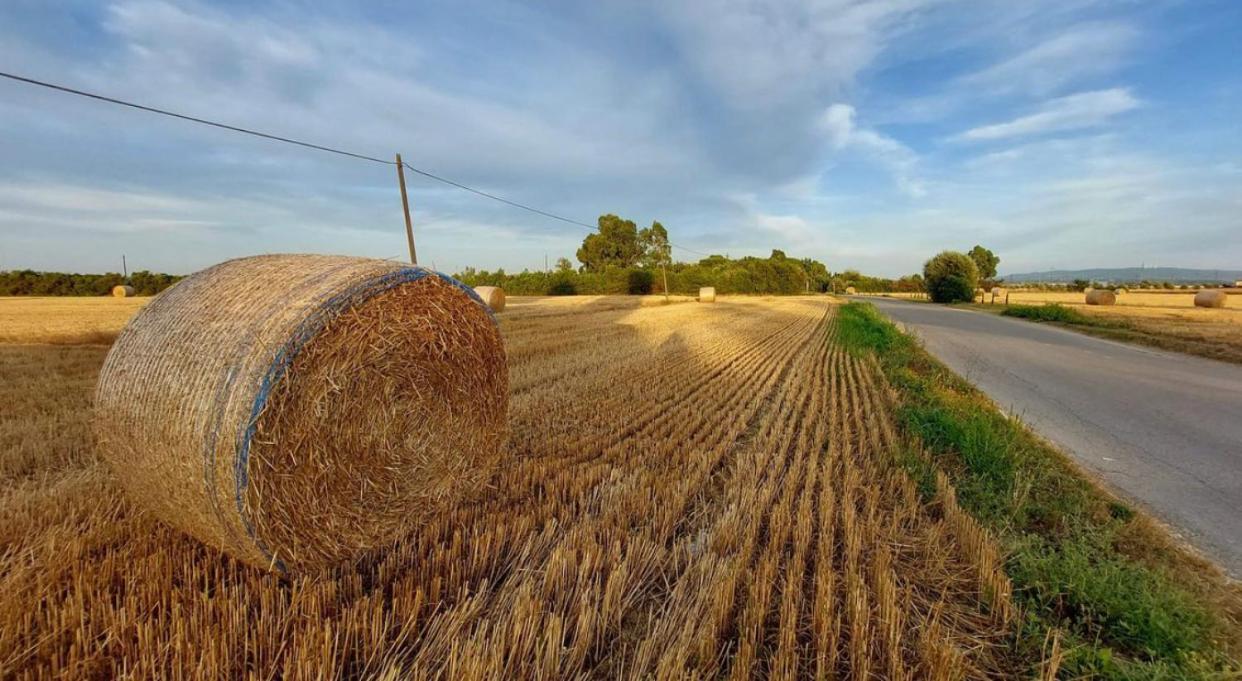 Il Cantuccio Cascina Exteriör bild