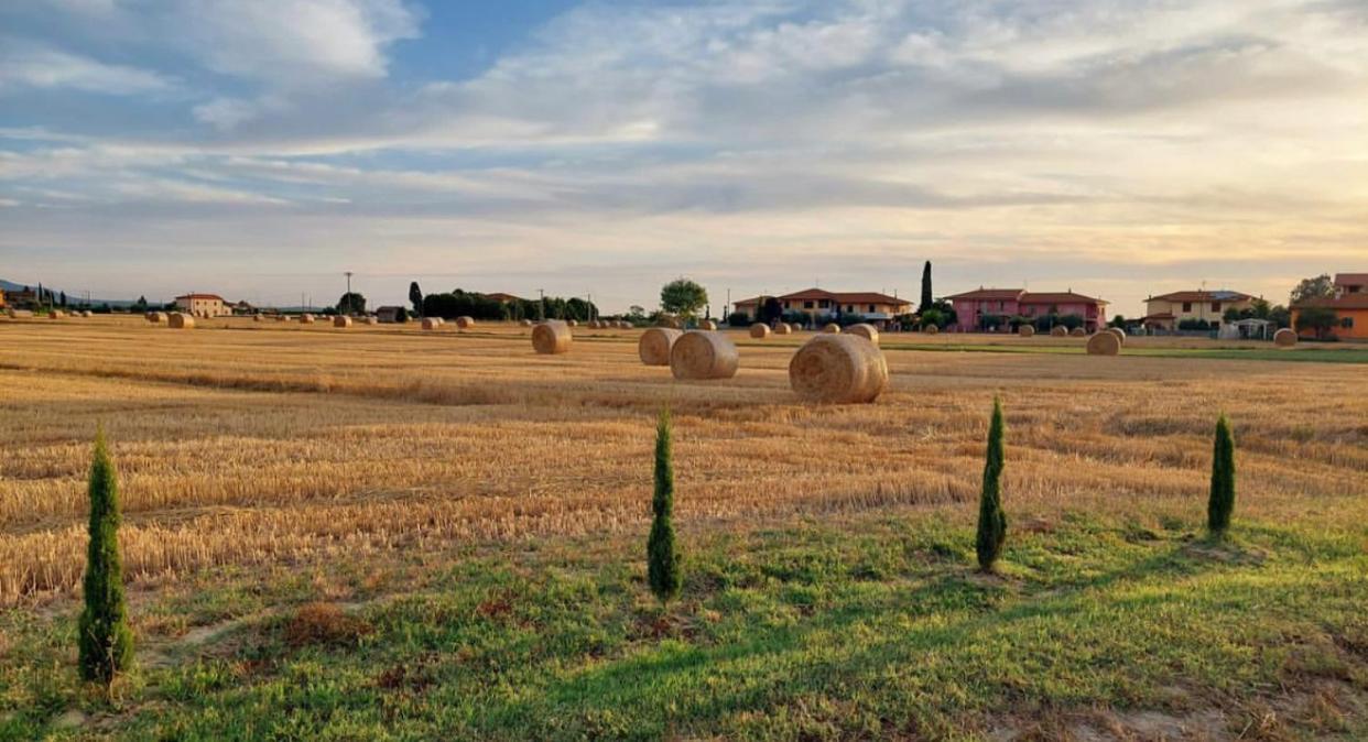 Il Cantuccio Cascina Exteriör bild