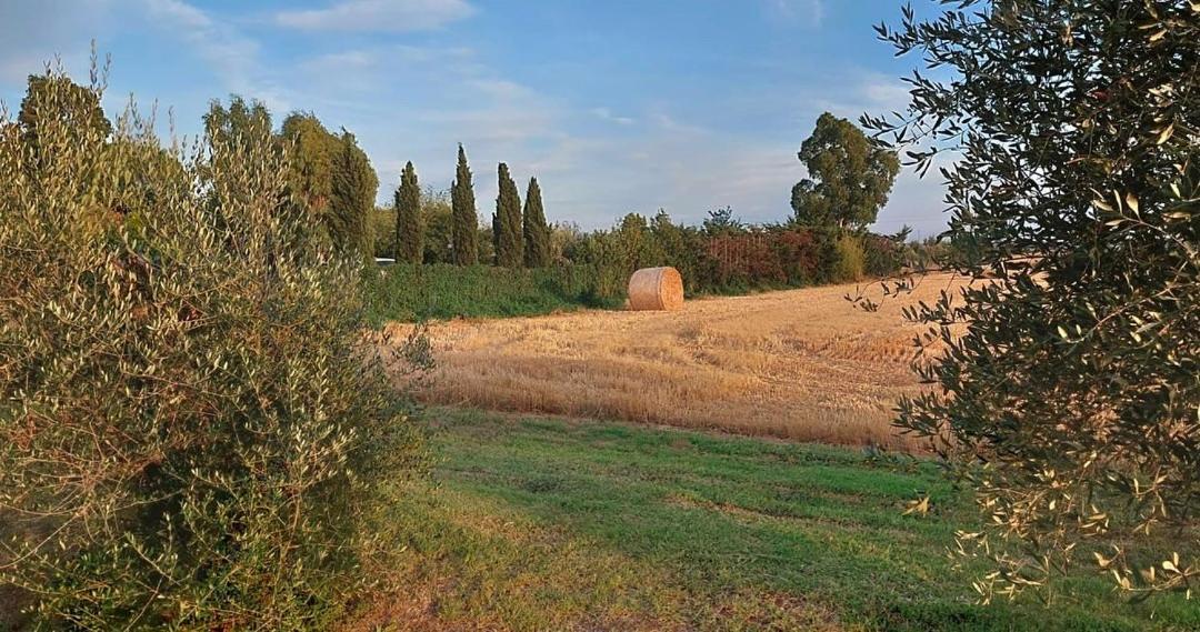 Il Cantuccio Cascina Exteriör bild